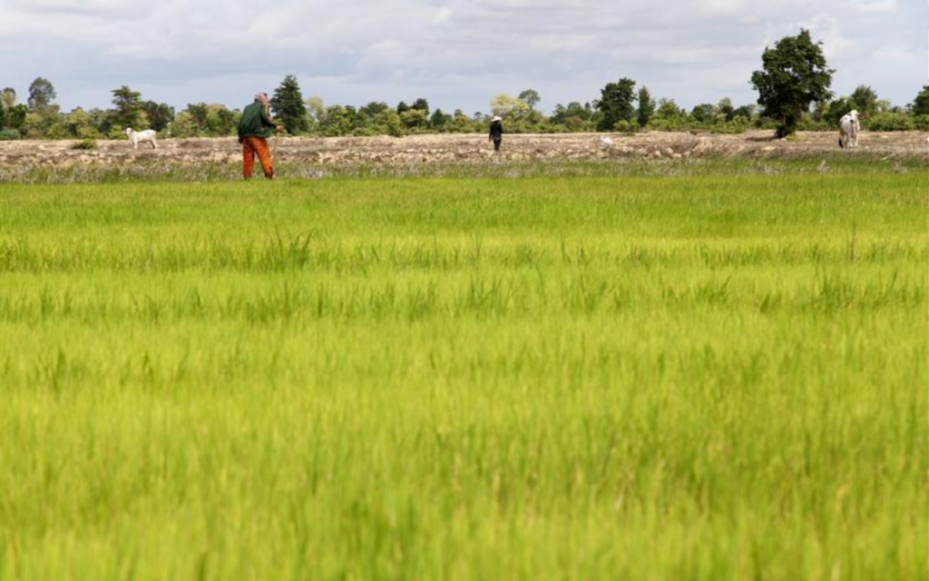 ASEAN Plus Three Leaders’ Statement on Food Security Cooperation ...