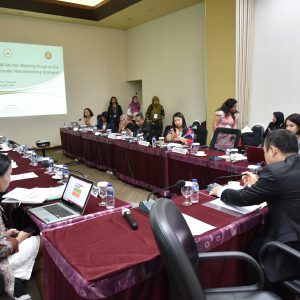 2nd Ad-hoc Working Group Meeting On The Development Of The Gender ...