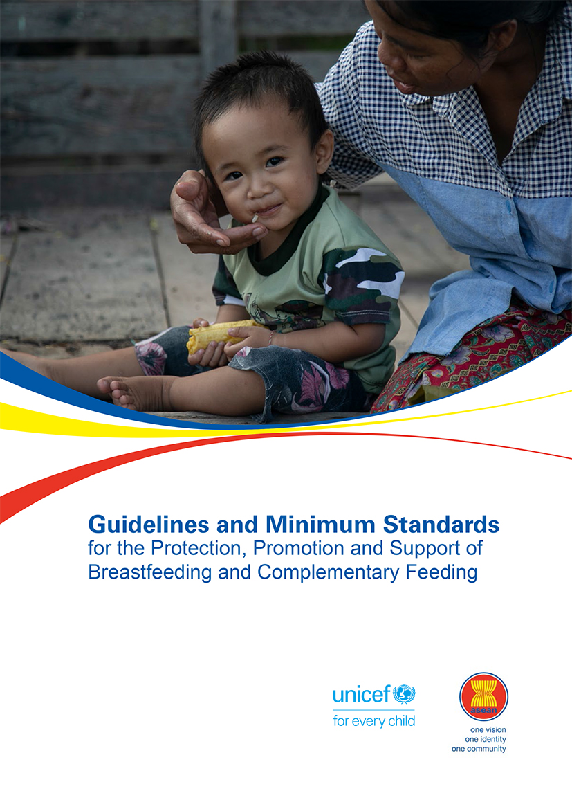Guidelines And Minimum Standards For The Protection Promotion And Support Of Breastfeeding And